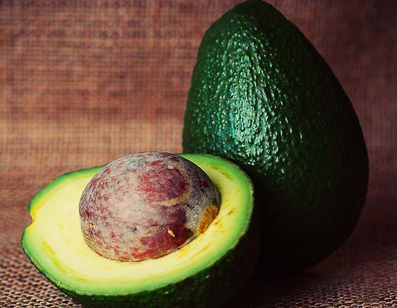 10 Best Avocado Recipes